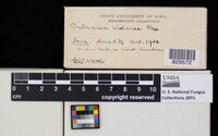 Image Associated With the Occurence